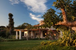 berenice porto cervo